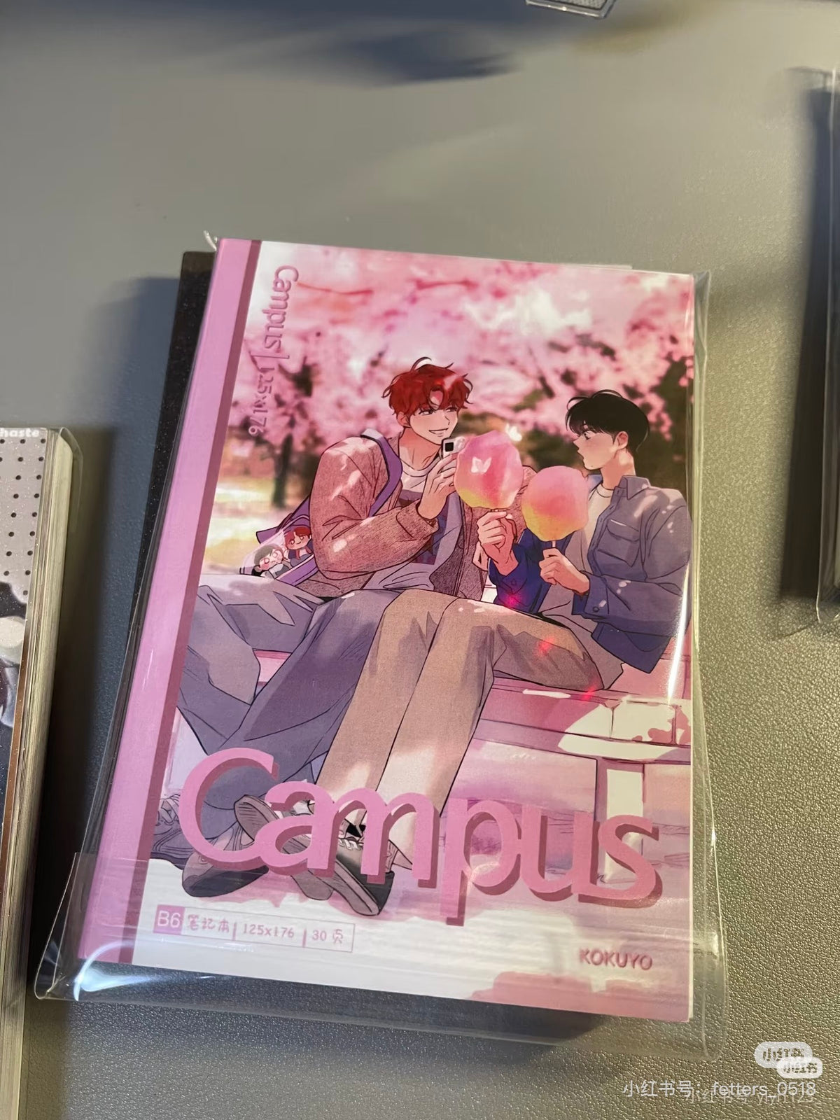 No.30《Cherry Blossom Campus》stickerbook