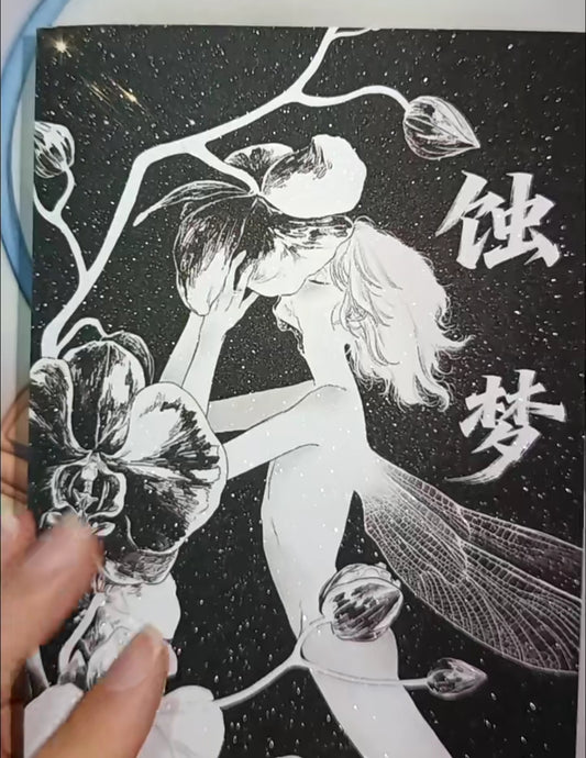 蚀梦 Eclipse Dream art book cover - black and white illustration with star background